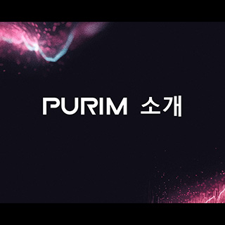 PURiM GO Torus & Rolling Consult